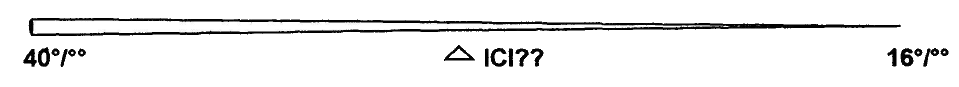 Image Active
