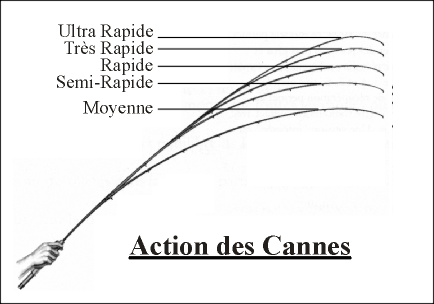 Image Active