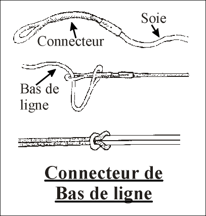 Image Active