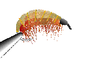 Image Exemple