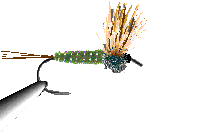 Image Exemple