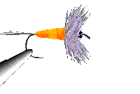 Image Exemple