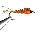 Image Exemple