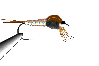 Image Exemple