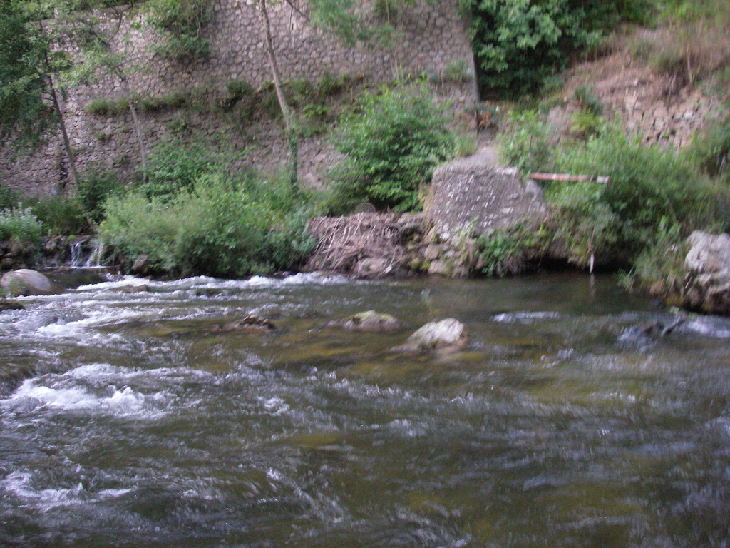 IMGP0371.JPG