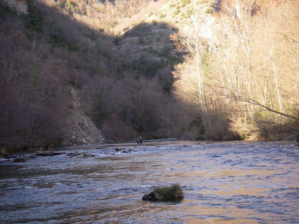 IMGP0160