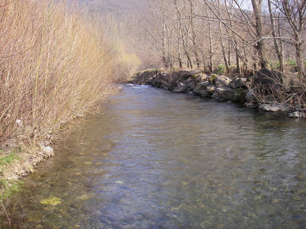 IMGP0164