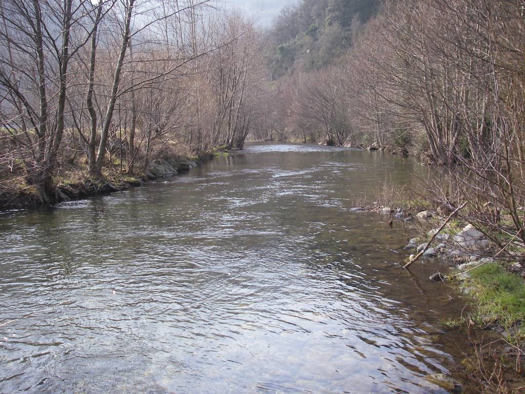 IMGP0165