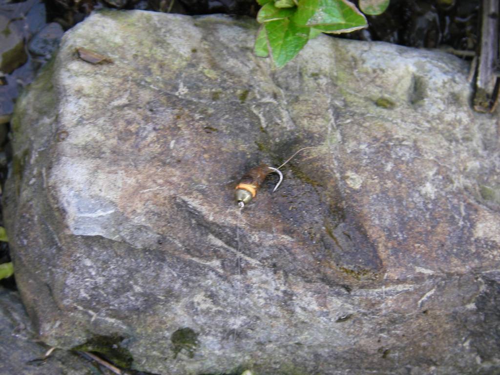 IMGP0169