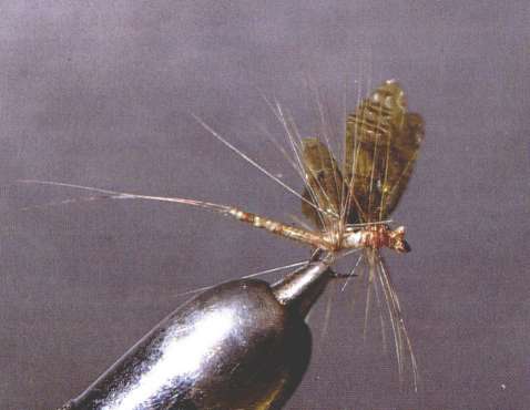montage mouche seche